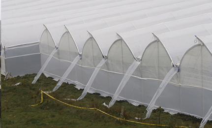 SERVICIOS PARA AGRICULTURA
